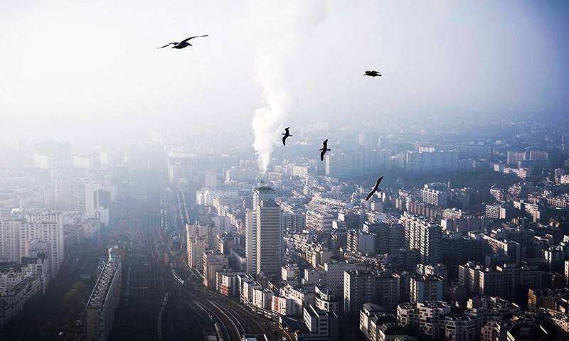 Concentration of CO2 in atmosphere hits record high: UN