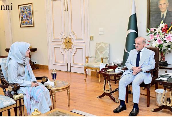 Govt pursuing agenda of digitizing economy for stability: PM
